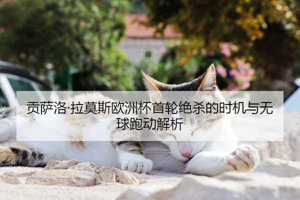 贡萨洛·拉莫斯欧洲杯首轮绝杀的时机与无球跑动解析